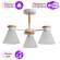 Потолочная люстра Arte Lamp Tyler с поддержкой Алиса A1031PL-3WH-A