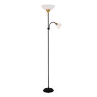 Торшер с дополнительной подсветкой Duetto Arte lamp A9569PN-2BK