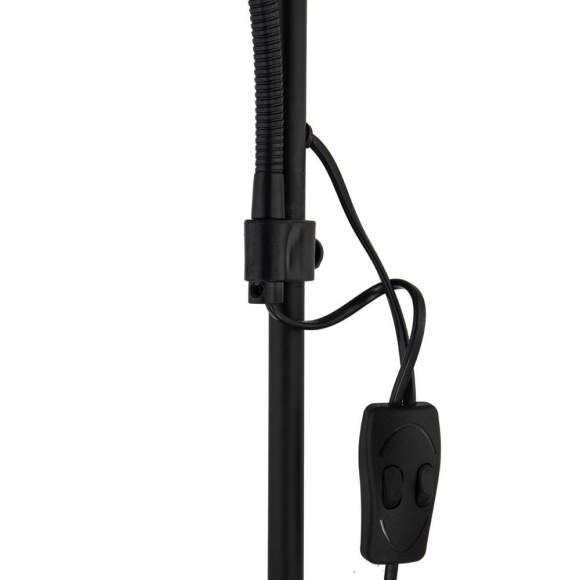 Торшер с дополнительной подсветкой Duetto Arte lamp A9569PN-2BK