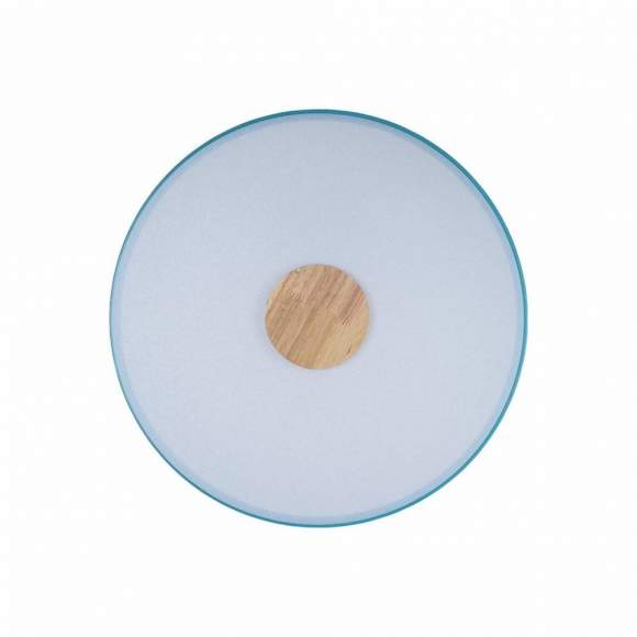 Потолочный светодиодный светильник Axel Loft It 10003/24 Blue