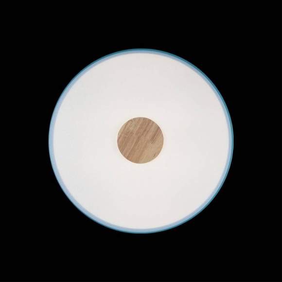 Потолочный светодиодный светильник Axel Loft It 10003/24 Blue