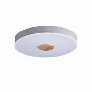 Потолочный светодиодный светильник Axel Loft It 10003/24 White