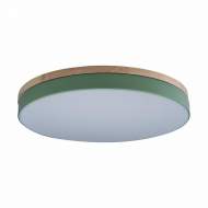 Потолочный светодиодный светильник Axel Loft It 10001/36 Green