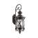 Уличный светильник с лампочками Odeon Light Sation 4045/3W+Lamps E14 Свеча
