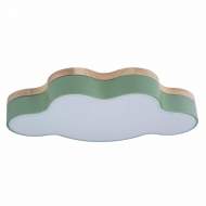 Потолочный светодиодный светильник Axel Loft It 10005/30 Green
