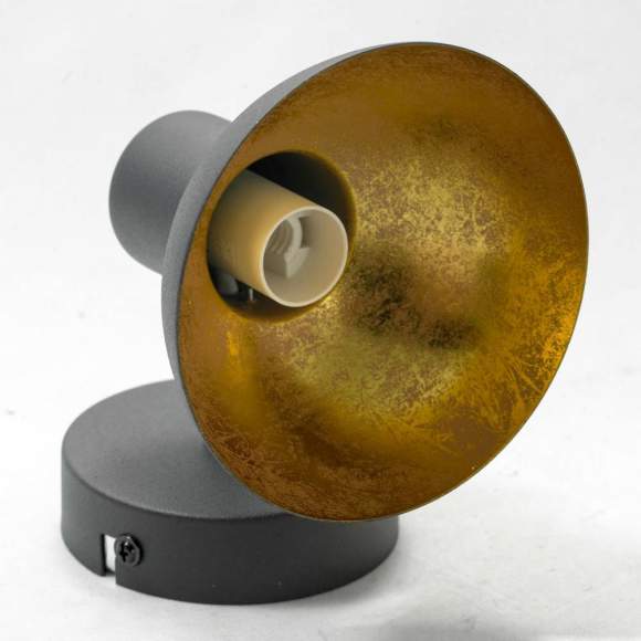 LSP-9973 Спот Lussole Loft