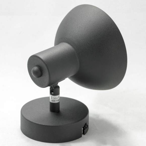 LSP-9973 Спот Lussole Loft