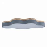 Потолочный светодиодный светильник Axel Loft It 10005/36 Grey