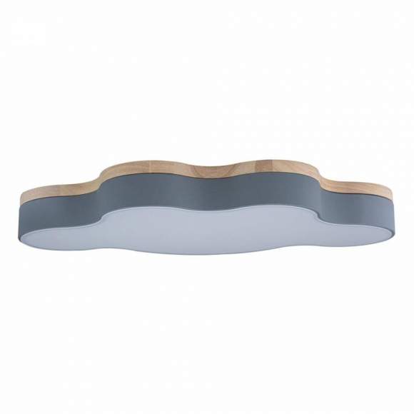 Потолочный светодиодный светильник Axel Loft It 10005/36 Grey