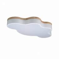 Потолочный светодиодный светильник Axel Loft It 10005/36 White