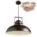 Светильник с лампочкой Arte Lamp Martin A5213SP-1BR+Lamps