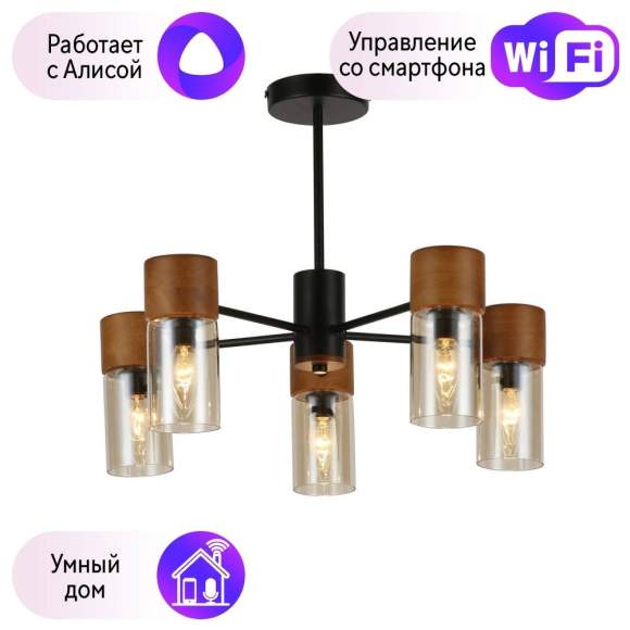 Люстра на штанге F-Promo Torr с поддержкой Алиса 2633-5P-A