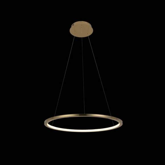 Светильник подвесной светодиодный Loft It Ring 10014M Светильник подвесной светодиодный Loft It Ring 10014M