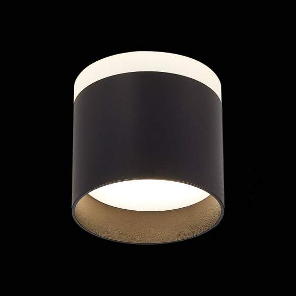 Светильник потолочный ST-Luce PANAGGIO ST102.442.09 Светильник потолочный ST-Luce PANAGGIO ST102.442.09