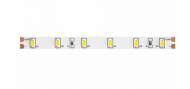5м. Светодиодная лента холодного цвета 6000К, 4,8W, 24V, 60LED, IP65 Led strip Maytoni 10141 5м. Светодиодная лента холодного цвета 6000К, 4,8W, 24V, 60LED, IP65 Led strip Maytoni 10141
