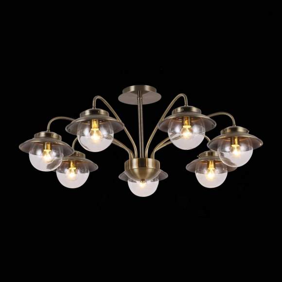 Люстра на штанге Evoluce Garonni SLE110102-07