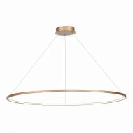 Подвесная светодиодная люстра St Luce IN ST603.243.57