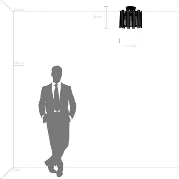 Потолочный светильник Lightstar Agave 712044 Потолочный светильник Lightstar Agave 712044