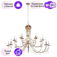 Подвесная люстра F-Promo Plini с поддержкой Алиса 2591-20P-A