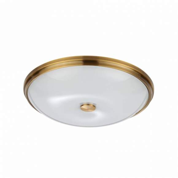 Настенно-потолочный светильник с лампочками Odeon Light Pelow 4956/5+Lamps E14 P45