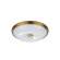 Настенно-потолочный светильник с лампочками Odeon Light Pelow 4956/4+Lamps E14 P45