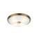 Настенно-потолочный светильник с лампочками Odeon Light Pelow 4956/4+Lamps E14 P45