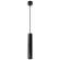 Подвесной светильник Altais Arte Lamp A6110SP-2BK