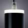 Подвесной светильник Altais Arte Lamp A6110SP-2BK
