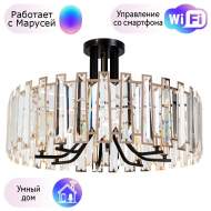Потолочный светильник Arte Lamp Amber с поддержкой Маруся A1028PL-8BK-М