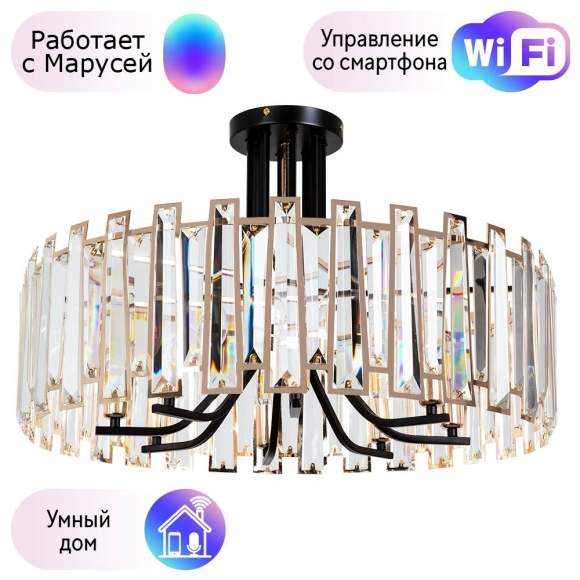 Потолочный светильник Arte Lamp Amber с поддержкой Маруся A1028PL-8BK-М