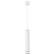 Подвесной светильник Altais Arte Lamp A6110SP-2WH