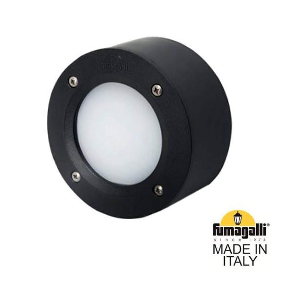 2S1.000.000.AYG1L Уличный настенный светильник Fumagalli Extraleti