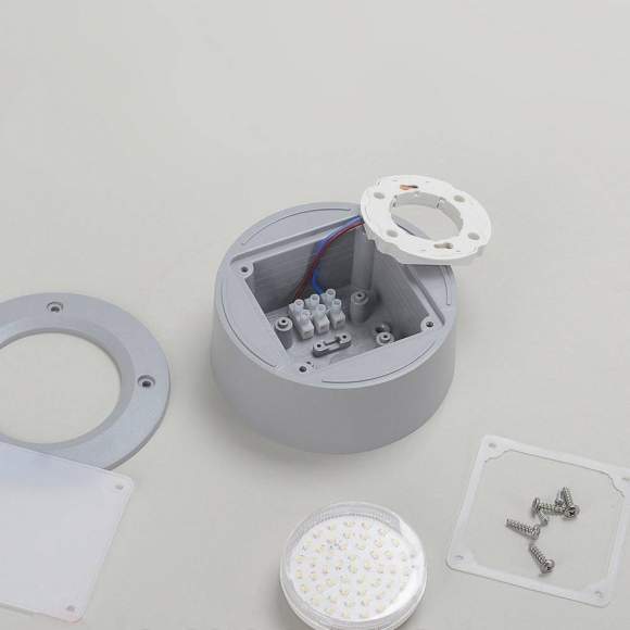 2S1.000.000.LYG1L Уличный настенный светильник Fumagalli Extraleti