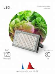 Фитопрожектор для растений светодиодный Эра FITO-80W-RB-LED-Y (Б0053082)