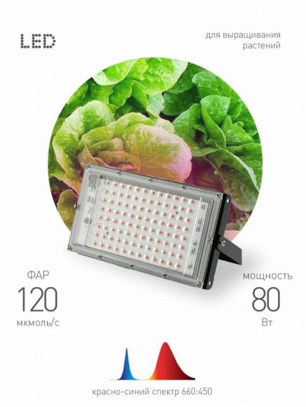 Фитопрожектор для растений светодиодный Эра FITO-80W-RB-LED-Y (Б0053082)