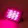 Фитопрожектор для растений светодиодный Эра FITO-80W-RB-LED-Y (Б0053082)