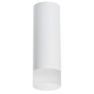 Накладной светильник Lightstar Rullo R48631