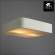 Настенно-потолочный светильник A7210PL-2WH Arte Lamp