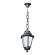 E22.120.000.BYF1R Уличный подвесной светильник Fumagalli Sichem/Anna