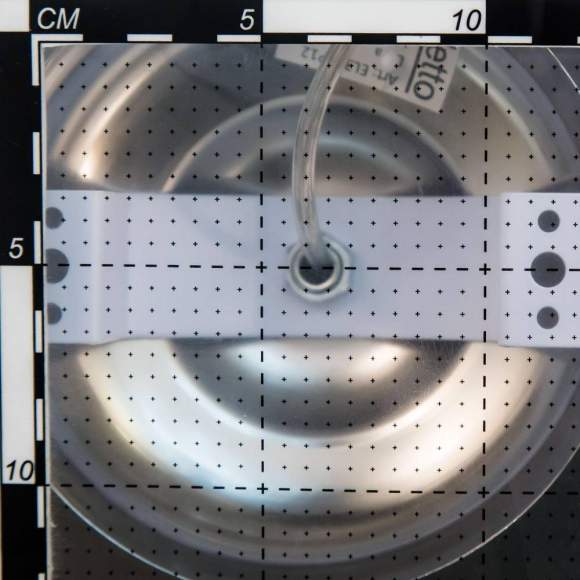 Люстра подвесная с пультом Eletto Diva EL339P06 Люстра подвесная с пультом Eletto Diva EL339P06