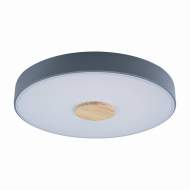 Потолочный светодиодный светильник Axel Loft It 10003/24 Grey