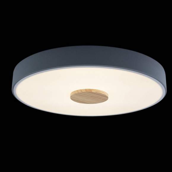 Потолочный светодиодный светильник Axel Loft It 10003/24 Grey Потолочный светодиодный светильник Axel Loft It 10003/24 Grey