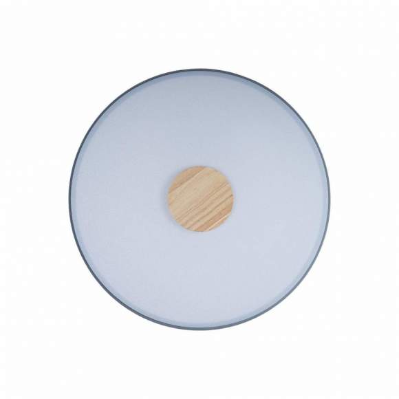 Потолочный светодиодный светильник Axel Loft It 10003/24 Grey Потолочный светодиодный светильник Axel Loft It 10003/24 Grey