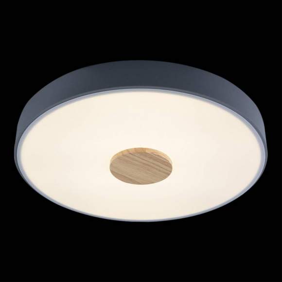 Потолочный светодиодный светильник Axel Loft It 10003/24 Grey Потолочный светодиодный светильник Axel Loft It 10003/24 Grey