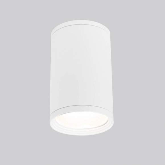 Уличный накладной светильник Elektrostandard Light 2101 IP65 35128/H белый (a056333)