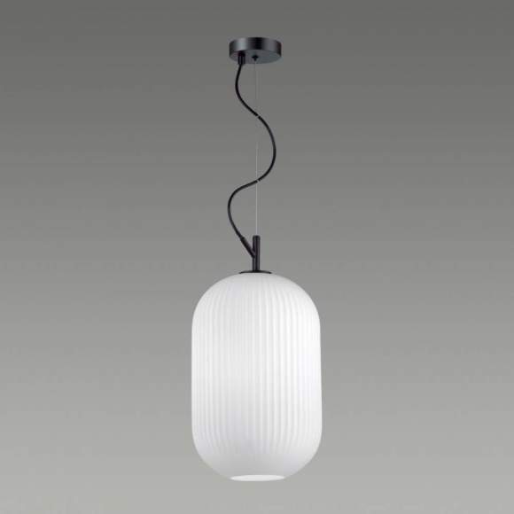 Светильник с лампочкой Odeon Light Roofi 4752/1+Lamps
