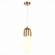 Подвесной светодиодный светильник Mofista St-Luce SL1579.303.02