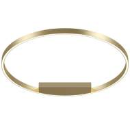Потолочный светодиодный светильник Maytoni Technical Rim MOD058CL-L50BS4K