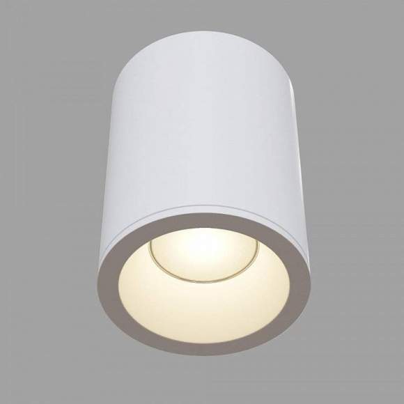 C029CL-01W Светильник уличный Maytoni Antares