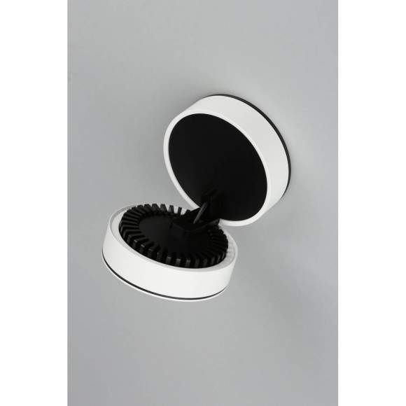 OML-101909-12 Потолочный светильник Omnilux Borgetto